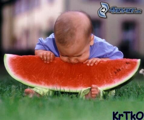 [obrazky_4ever_sk]%20Babatko,%20melon%209059871.jpg