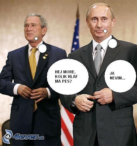 [obrazky_4ever_sk]%20bush,%20america,%20usa%202269478.jpg